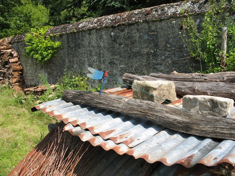 2009 06 Les 30 ans du CERF 013